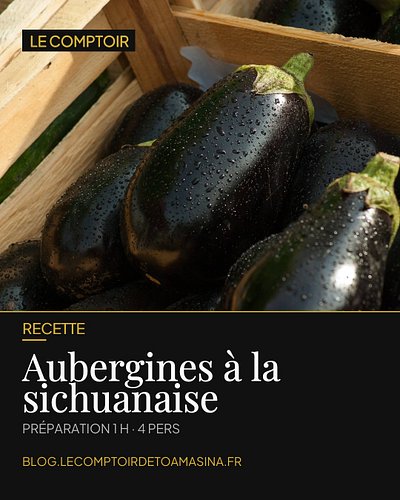 🍆 Le poivre de Sichuan ne pique pas… il fait pétiller la langue !

Ces aubergines à la sichuanaise sont fondantes, parfumées ...
