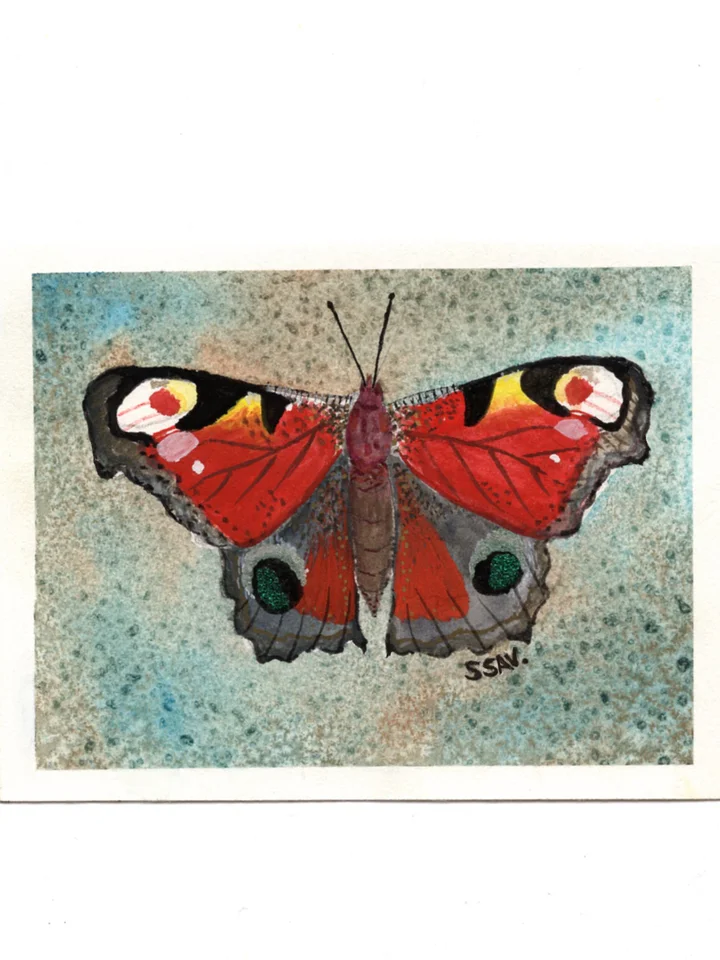 red 4x5.3 watercolor butterfly print ssav. product image (1)