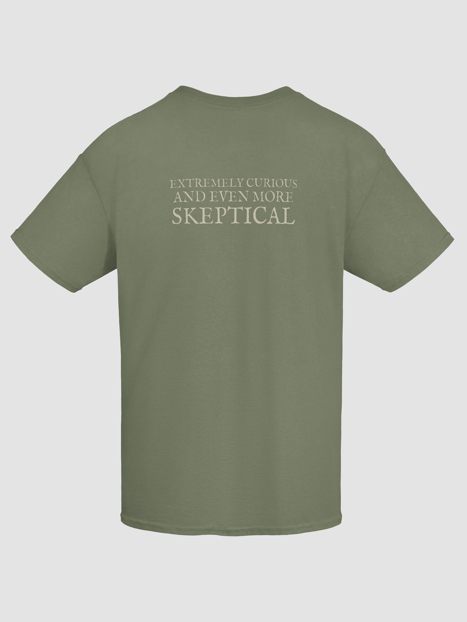 Alice and Pig + Extremely Curious and Even More Skeptical Unisex Heavyweight Cotton T-Shirt, Original John Tenniel Illustration product image (47)