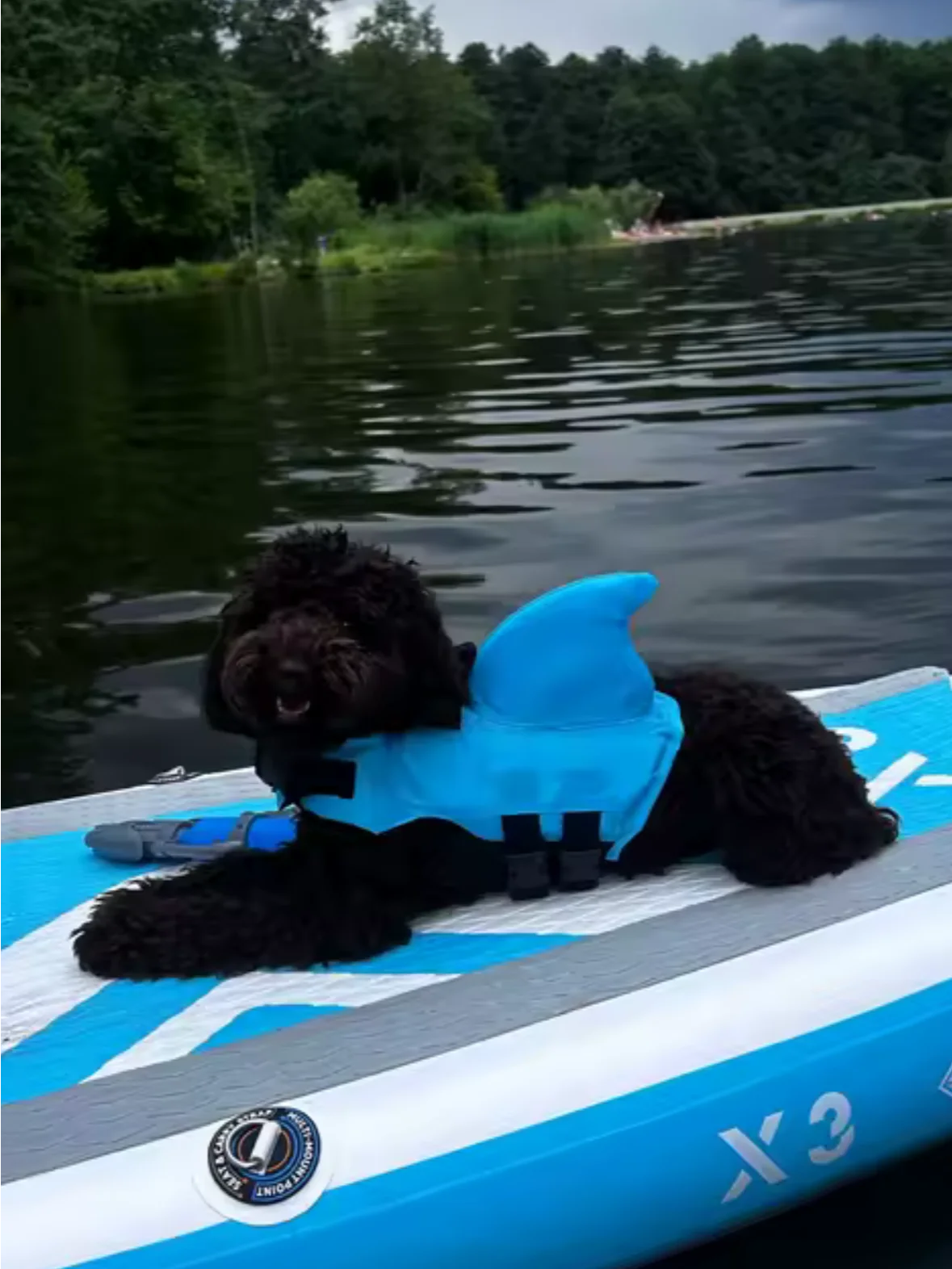 Life Jackets For Dogs and Cats product image (5)