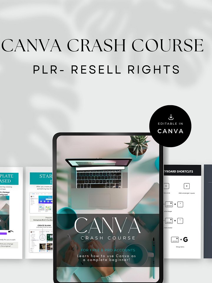 Canva Cashflow: Design & Sell Digital Products in a Weekend product image (1)