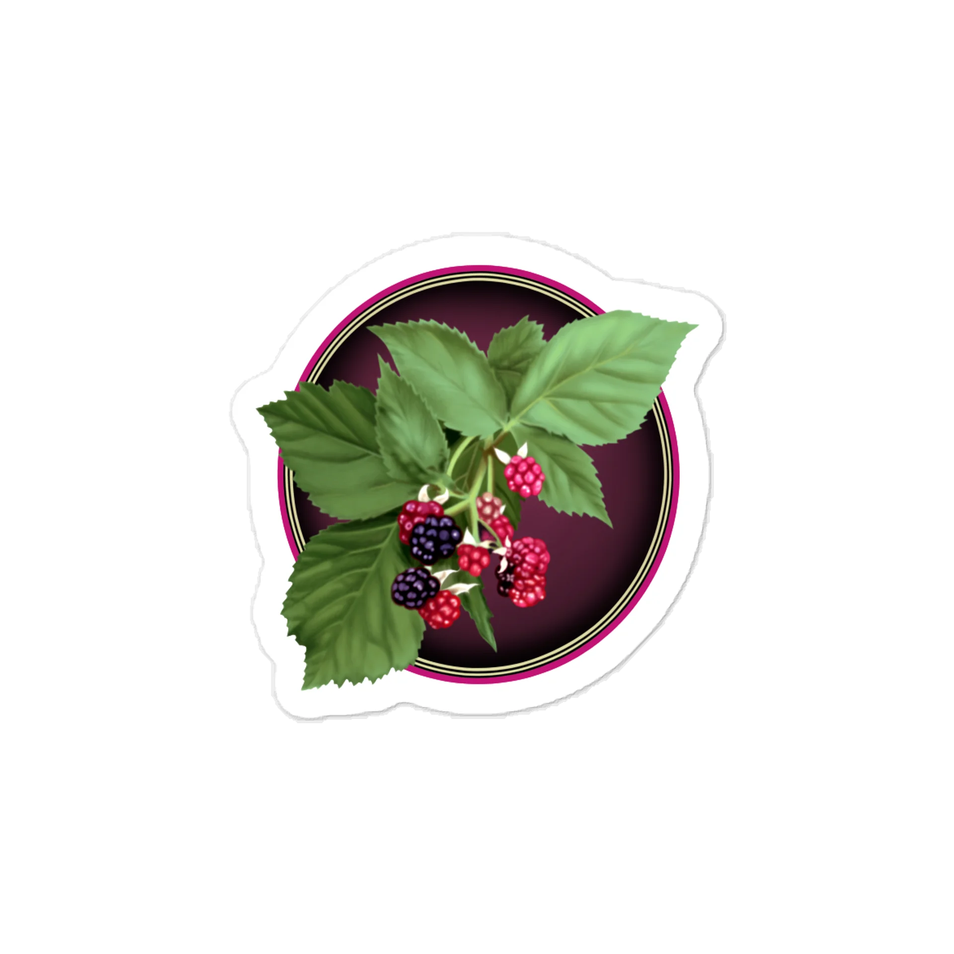 Gothic Blackberry Vine Vinyl Decal – Krita Airbrush Art Kiss-Cut Sticker product image (1)