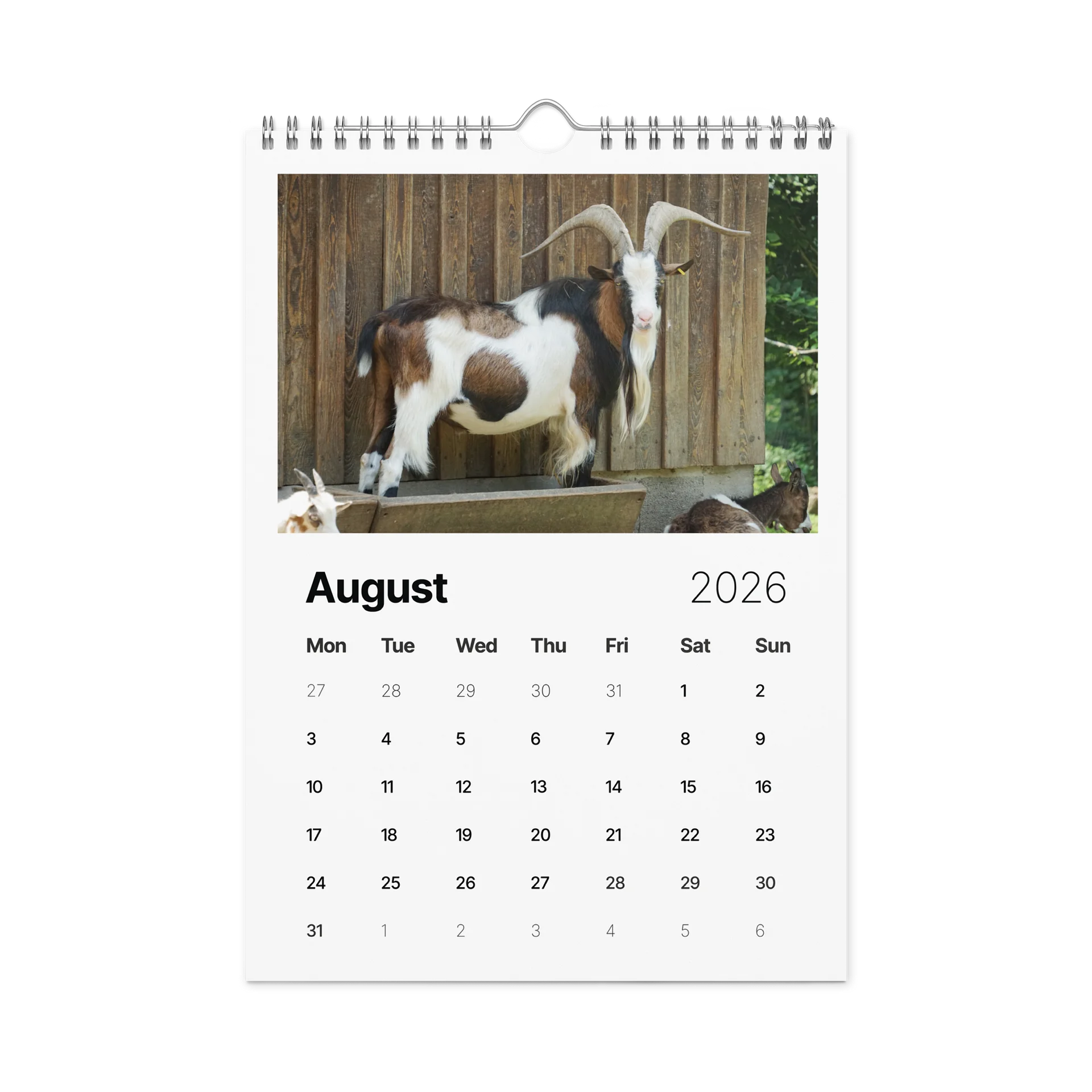 One Year, Twelve Animals: ESE 2026 Wall Calendar product image (2)
