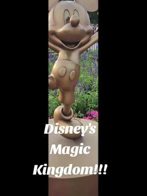 Main Street at Disney's Magic Kingdom!!! 🎉💫🌠 #disney #disneyworld #disneygram #disneyparks #disneyprincess #disneysprings #disneyphotography #disneylove #disneyoutfit #disneyinsta #disneyfan #disneymagic #BnBriTV #bnbritv 