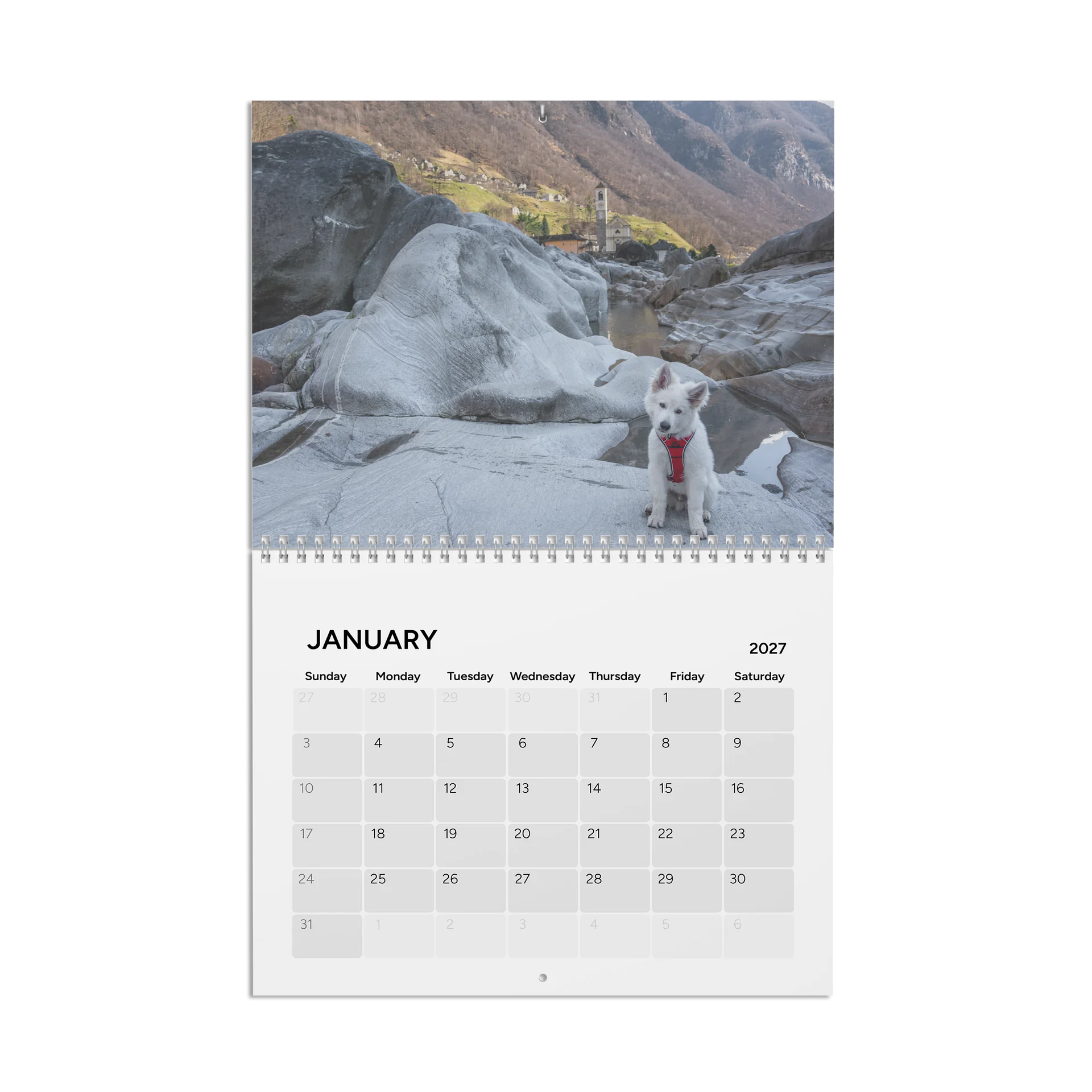 Lil Rasta Calendar 2027 product image (2)