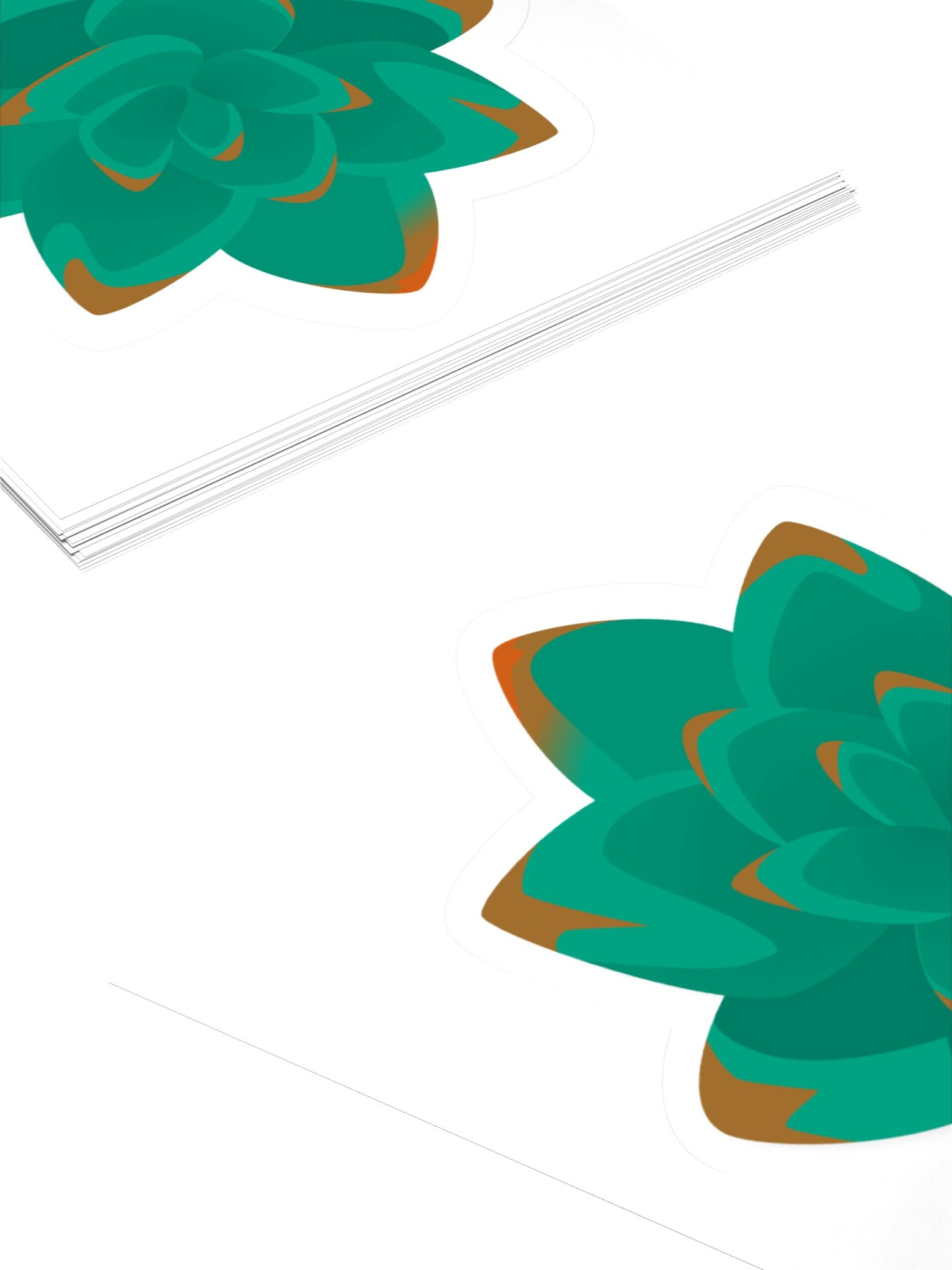 Echeveria product image (4)