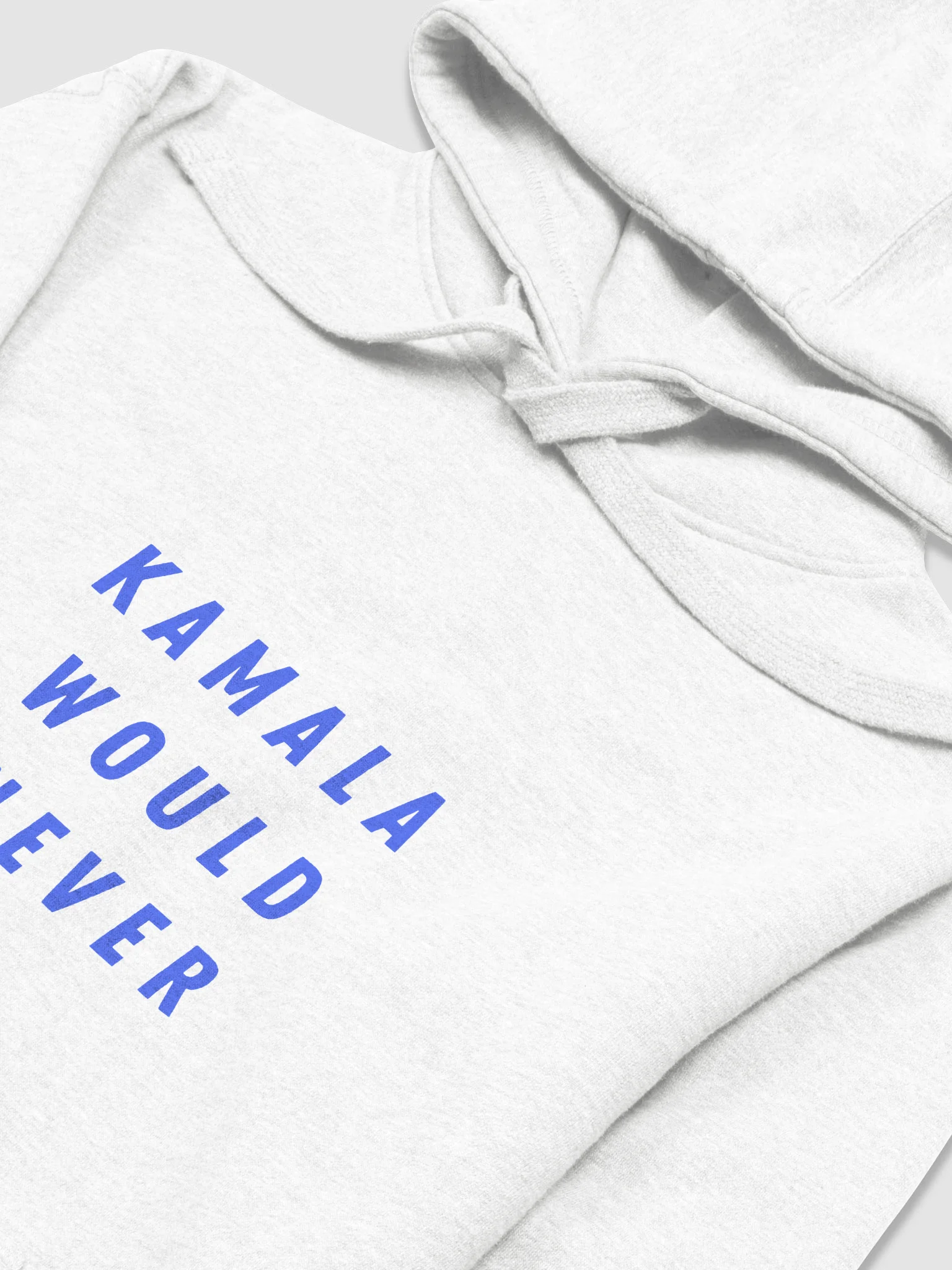 Kamala Would Never Pullover | L I G H T product image (3)