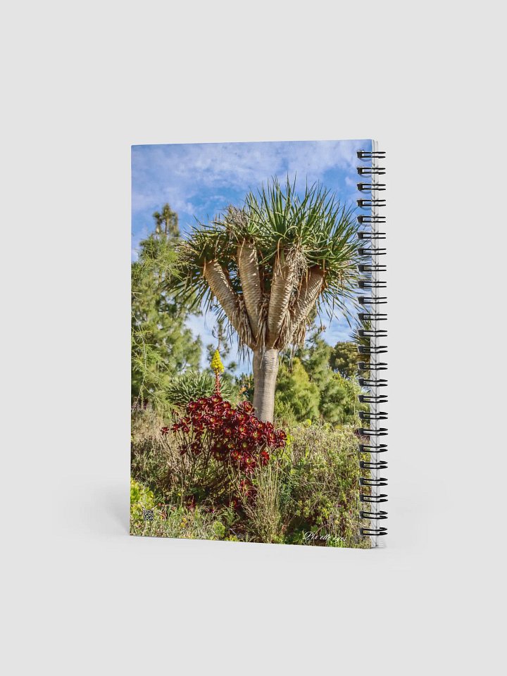 📓 Notebook Collection PURE – Jardin du Rayol – Dragonnier & Aeonium pourpre product image (2)
