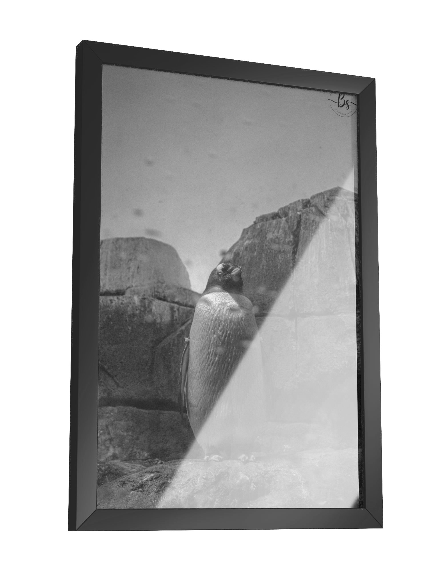 Standing tall product image (3)