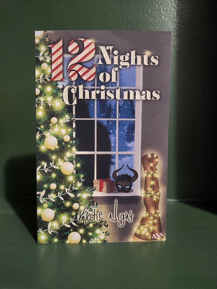 12 Nights of Christmas - Signed product image (1)