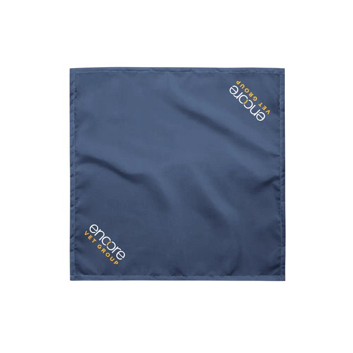 Abby's Bandana product image (2)