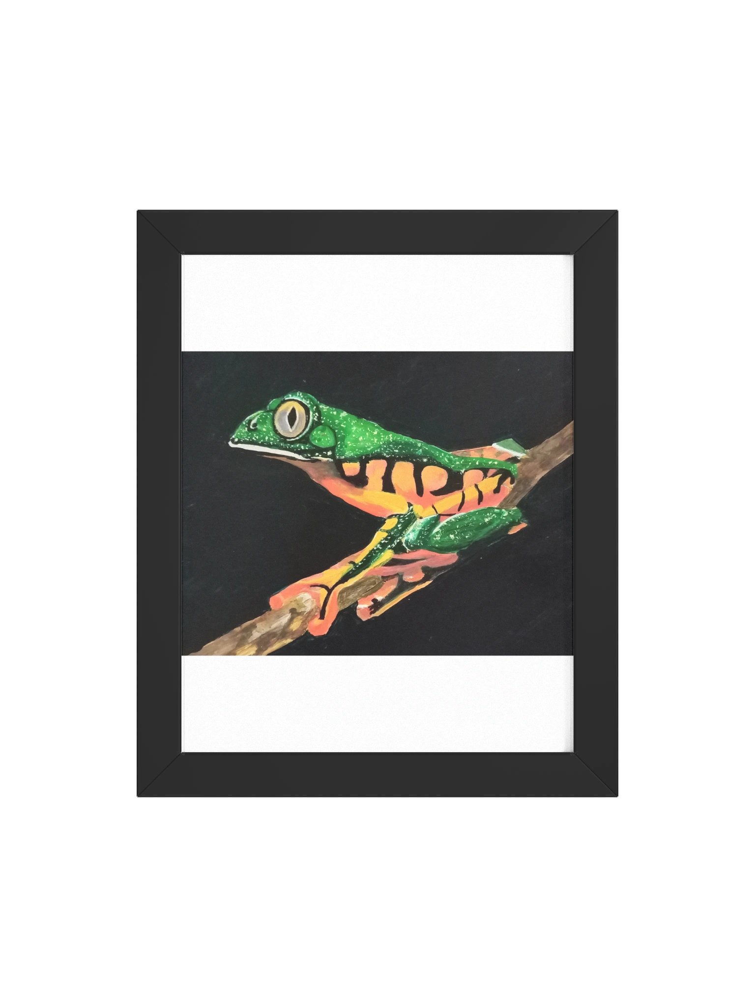 Splendid Leaf Frog – Framed Print product image (4)