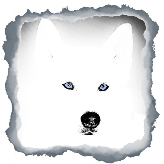 White Blue Eyed Husky Digital Product product image (1)