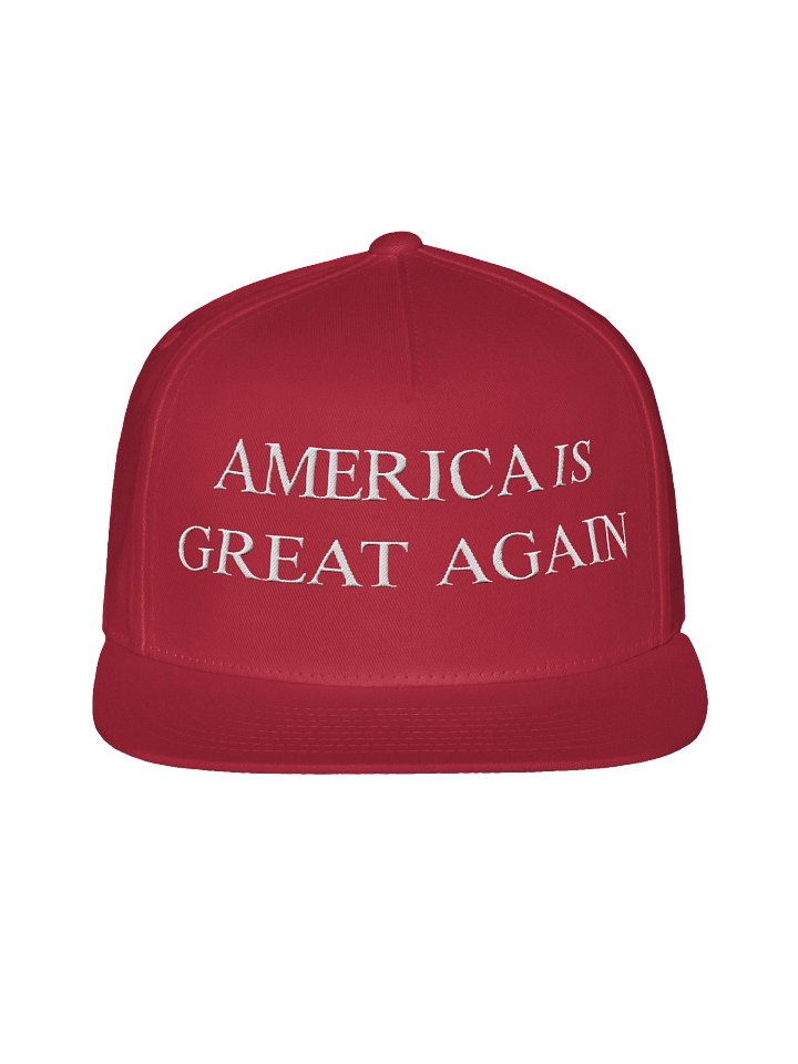AMERICA IS GREAT AGAIN Snapback Hat product image (7)