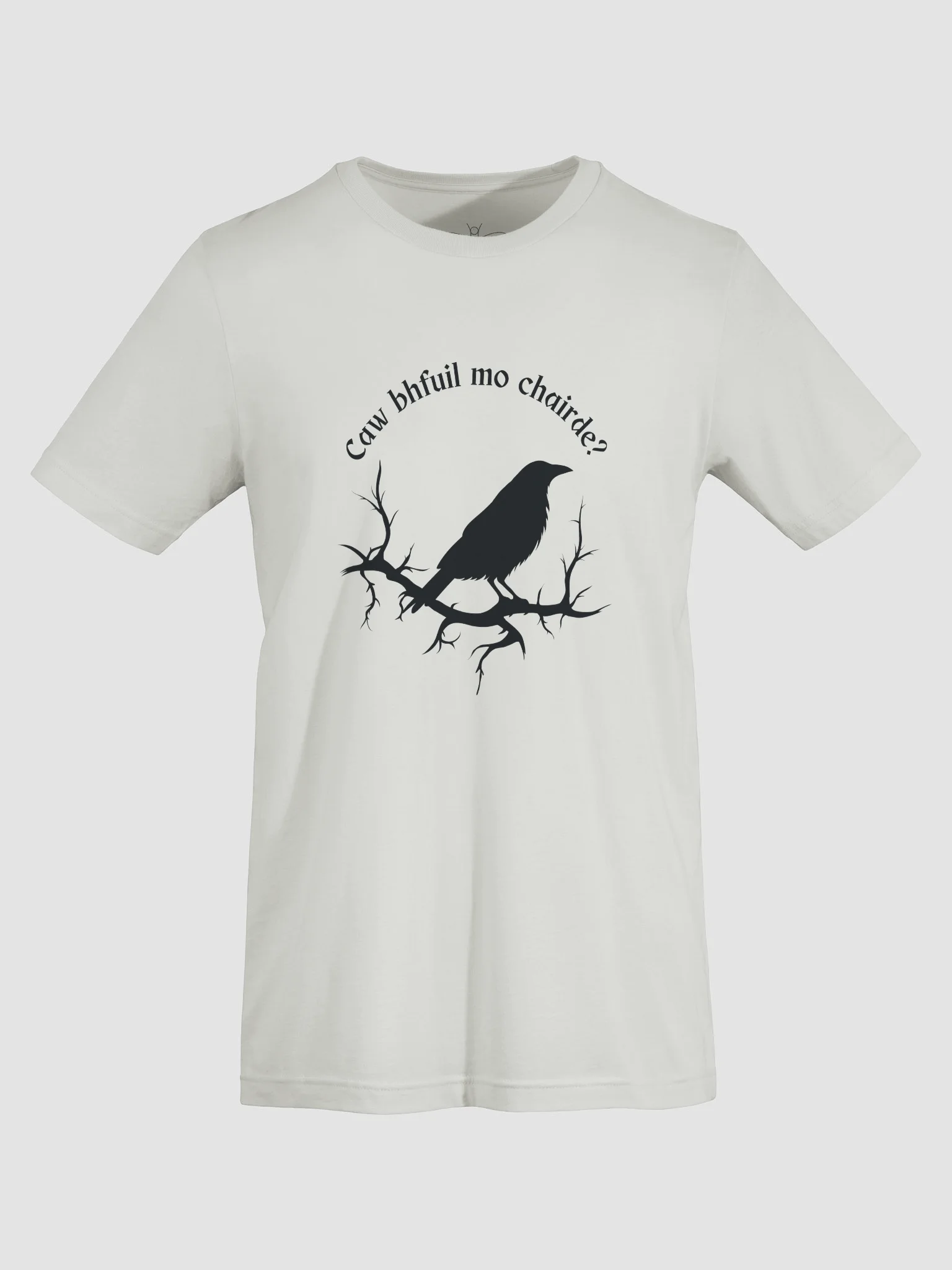 Caw bhfuil mo chairde? T-shirt product image (27)
