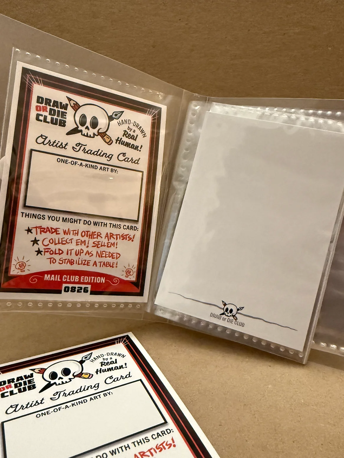 Annual Snail Mail Member Sign-up Bonus! product image (2)