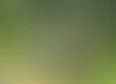 cosplay's tag thumbnail