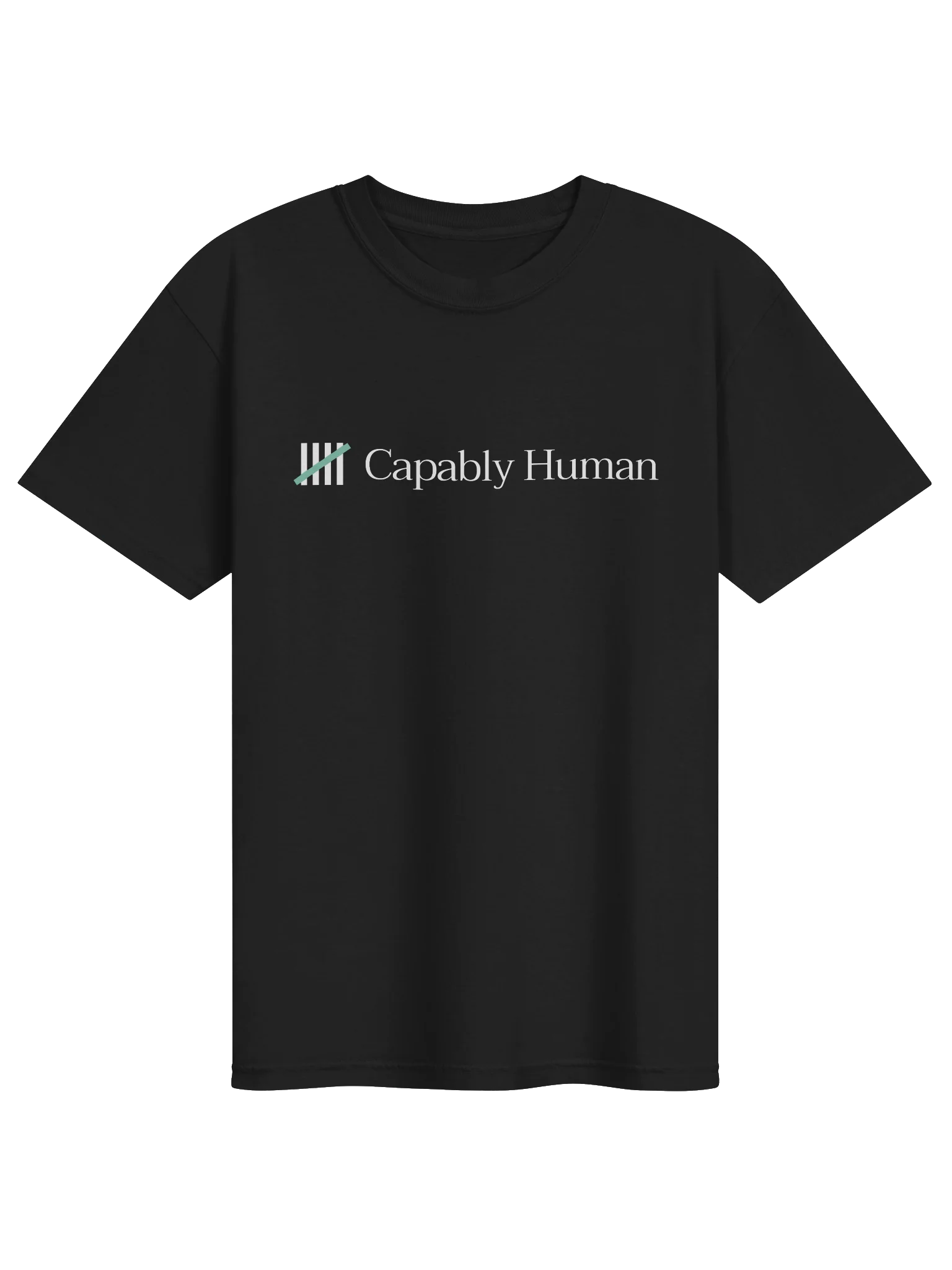 Capably Human - Dyed Heavyweight T-Shirt product image (1)