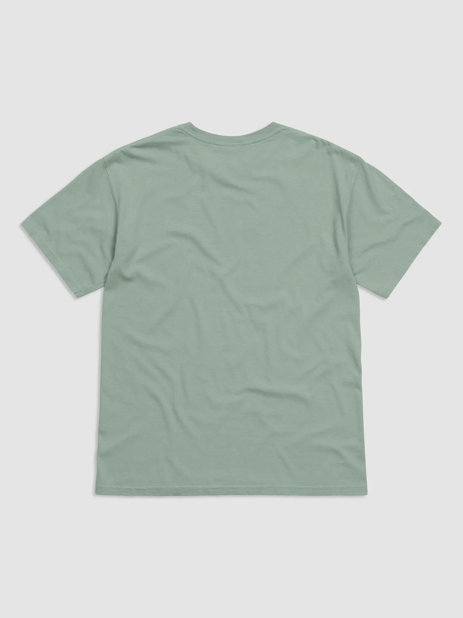 Crypto Goon Light Weight T Shirt product image (20)