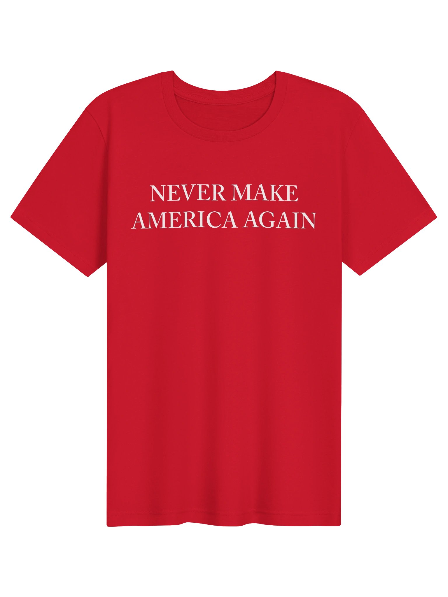 NEVER MAKE AMERICA AGAIN product image (1)