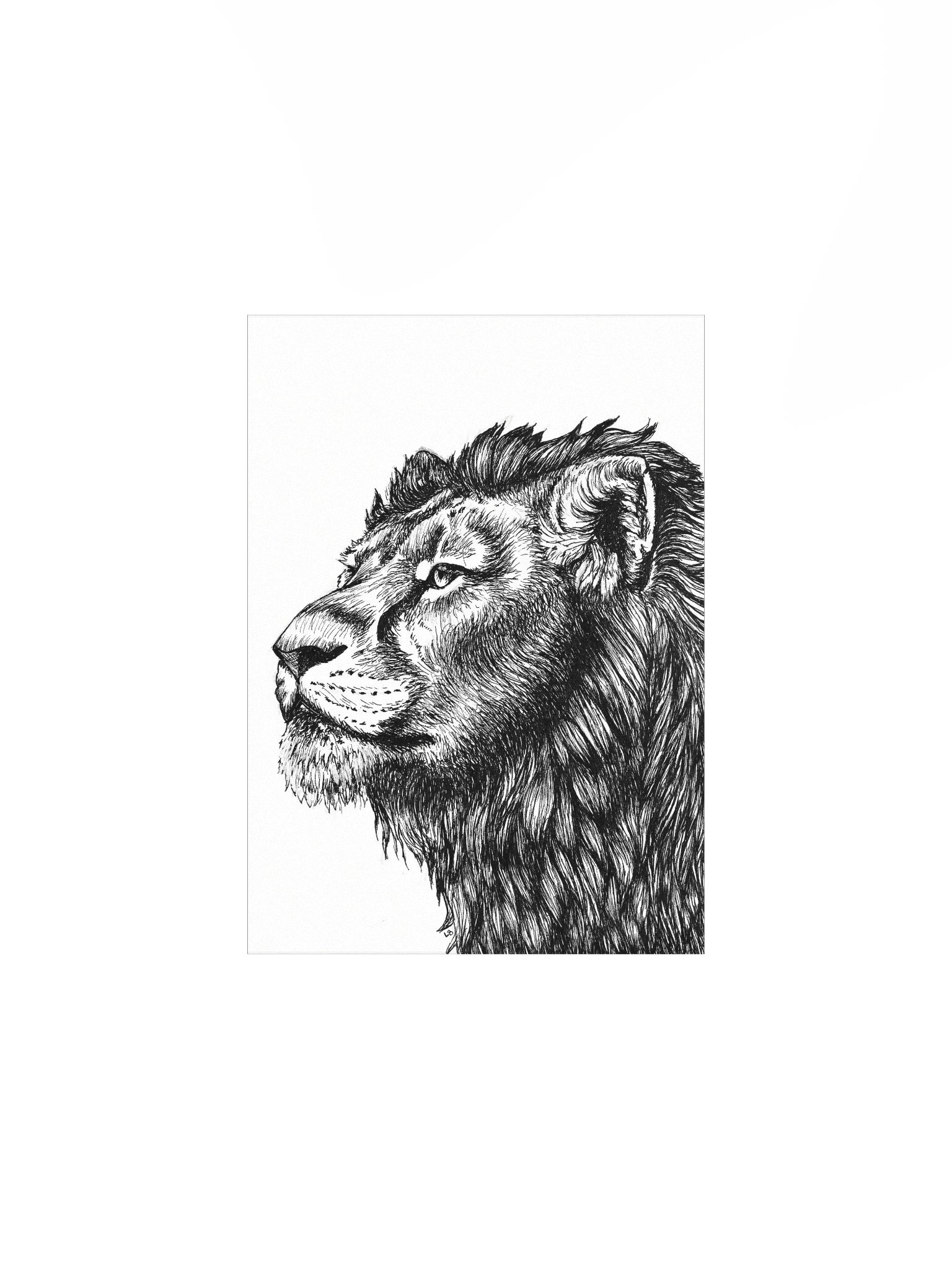 Hungry, Matte Art Print Poster product image (2)