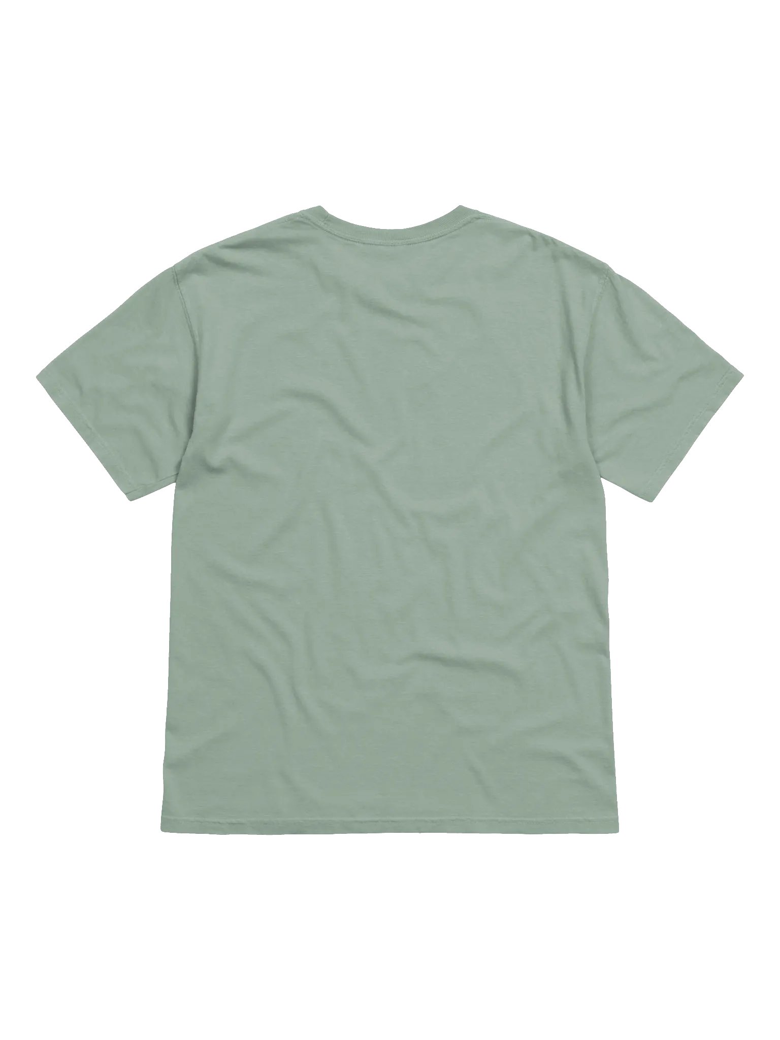 Chirpy Kipper T-Shirt product image (8)