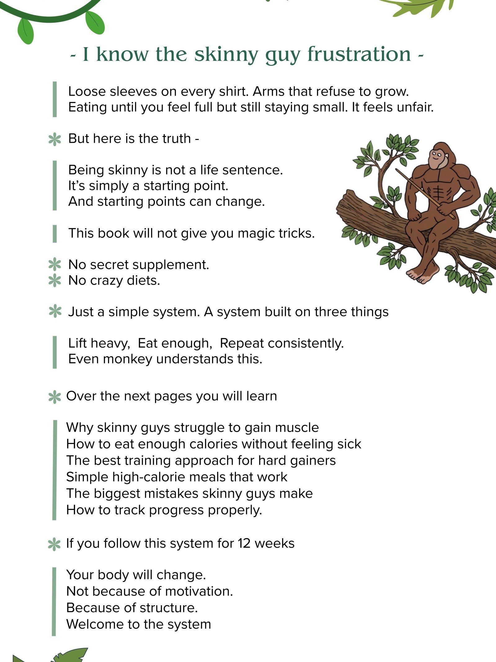The Skinny Monkey - From Thin to Aesthetic (Guide) product image (3)