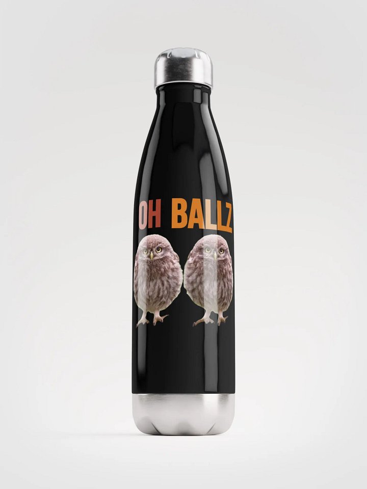 Oh Ballz Stainless Steel Bottle product image (1)