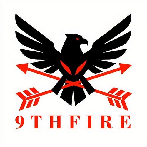 Get your free guide at https://9thfire.com 
Free high quality guide 
Take advantage for free 
❤️❤️💖🙏
#9thfire #levelup #insta...