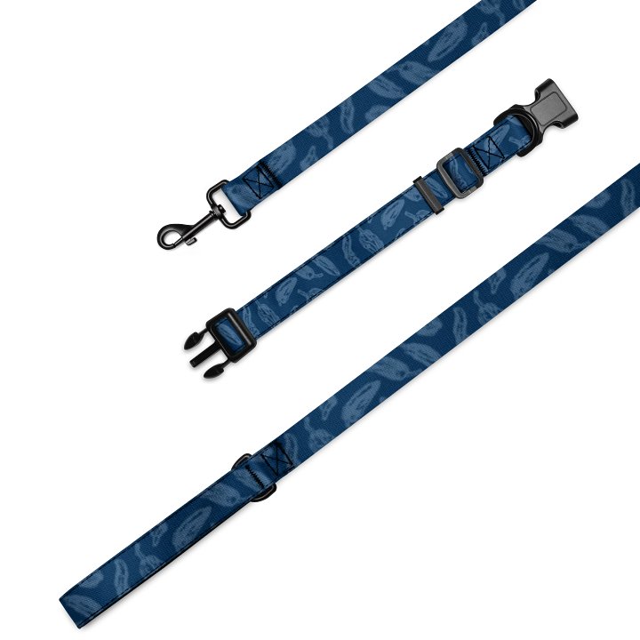 Pupper Pep Collar and Lead in Blue product image (1)
