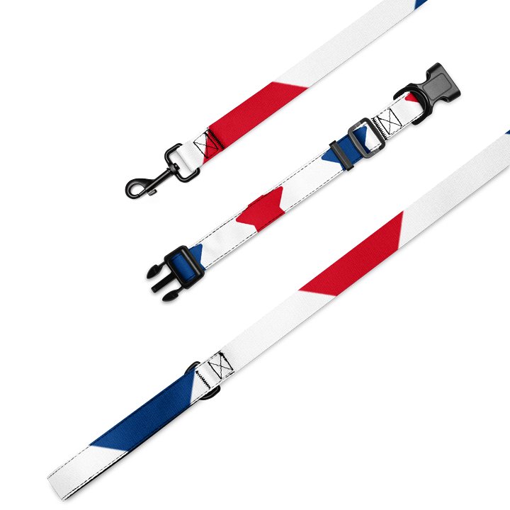 Vibrant Stripes Pet Collar & Leash Set product image (1)