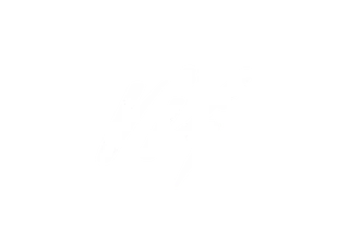 Vis