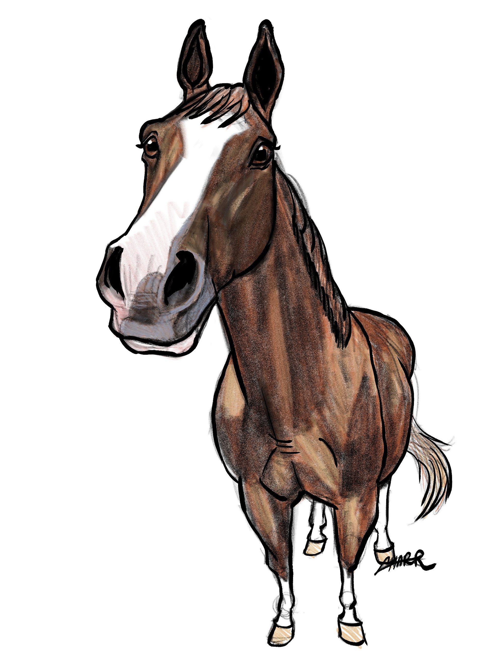 Pet Portrait Sketch (Digital Only) product image (1)