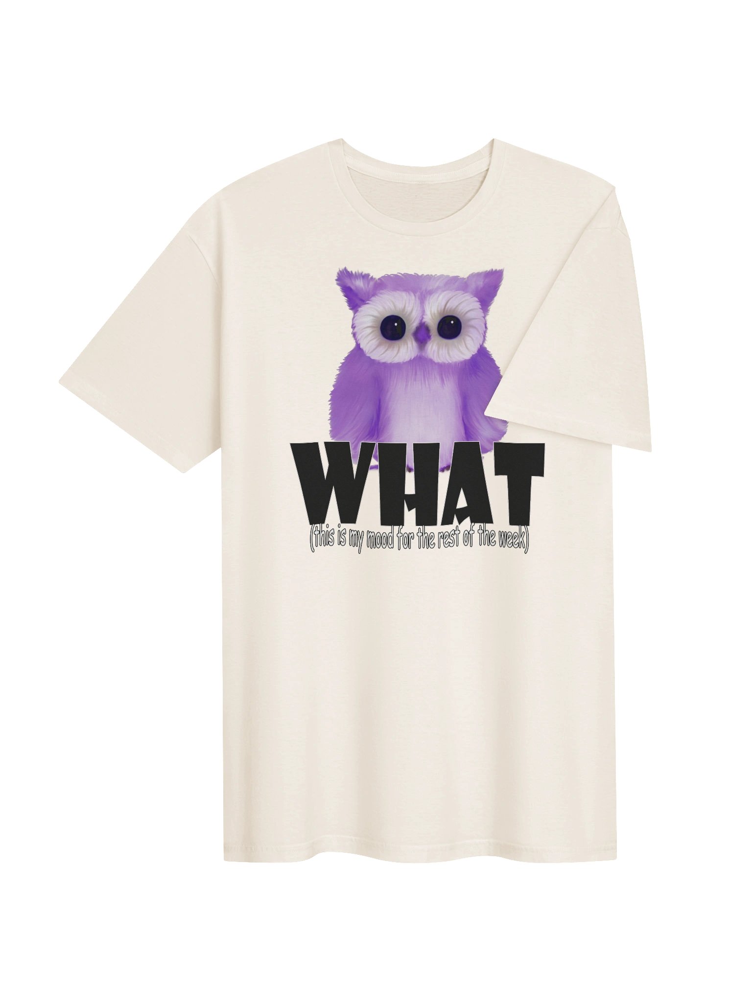 Unisex Gildan Softstyle T-Shirt product image (5)