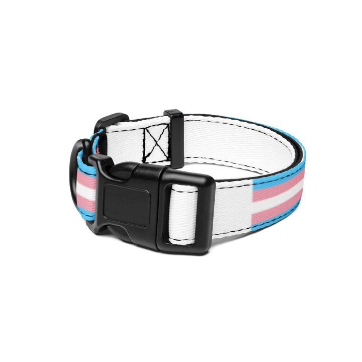 Trans Rights or I Bites Collar product image (1)