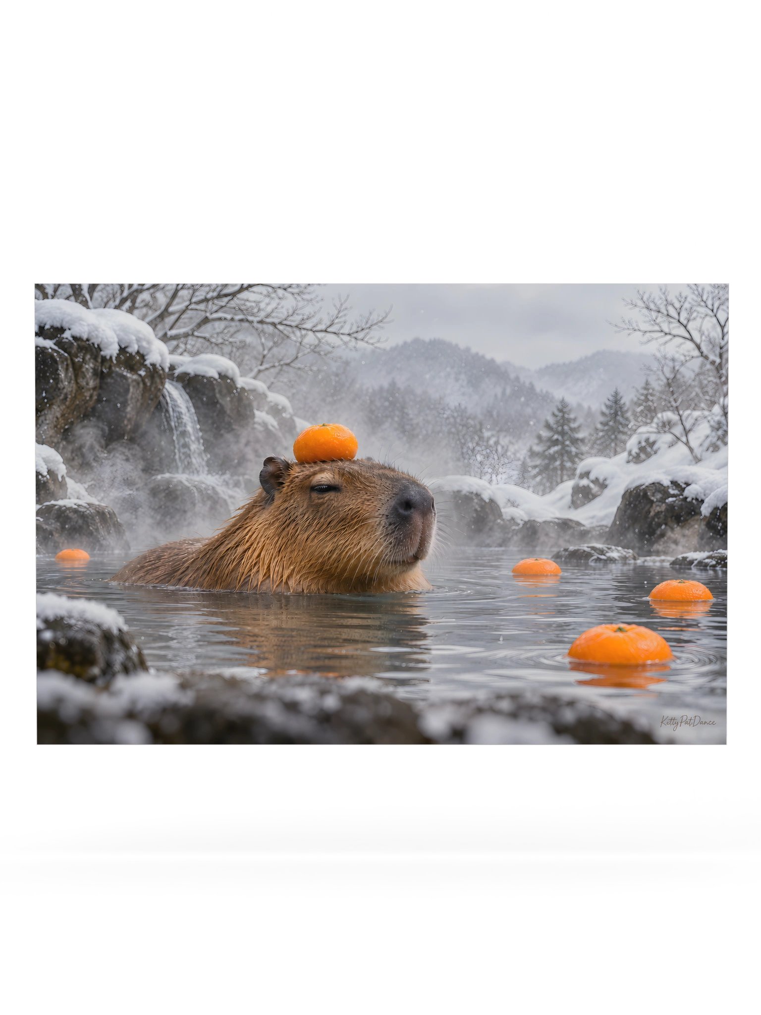 Winter Stillness — No Thoughts, Just Capybara | CA-PY-BA-RA product image (1)