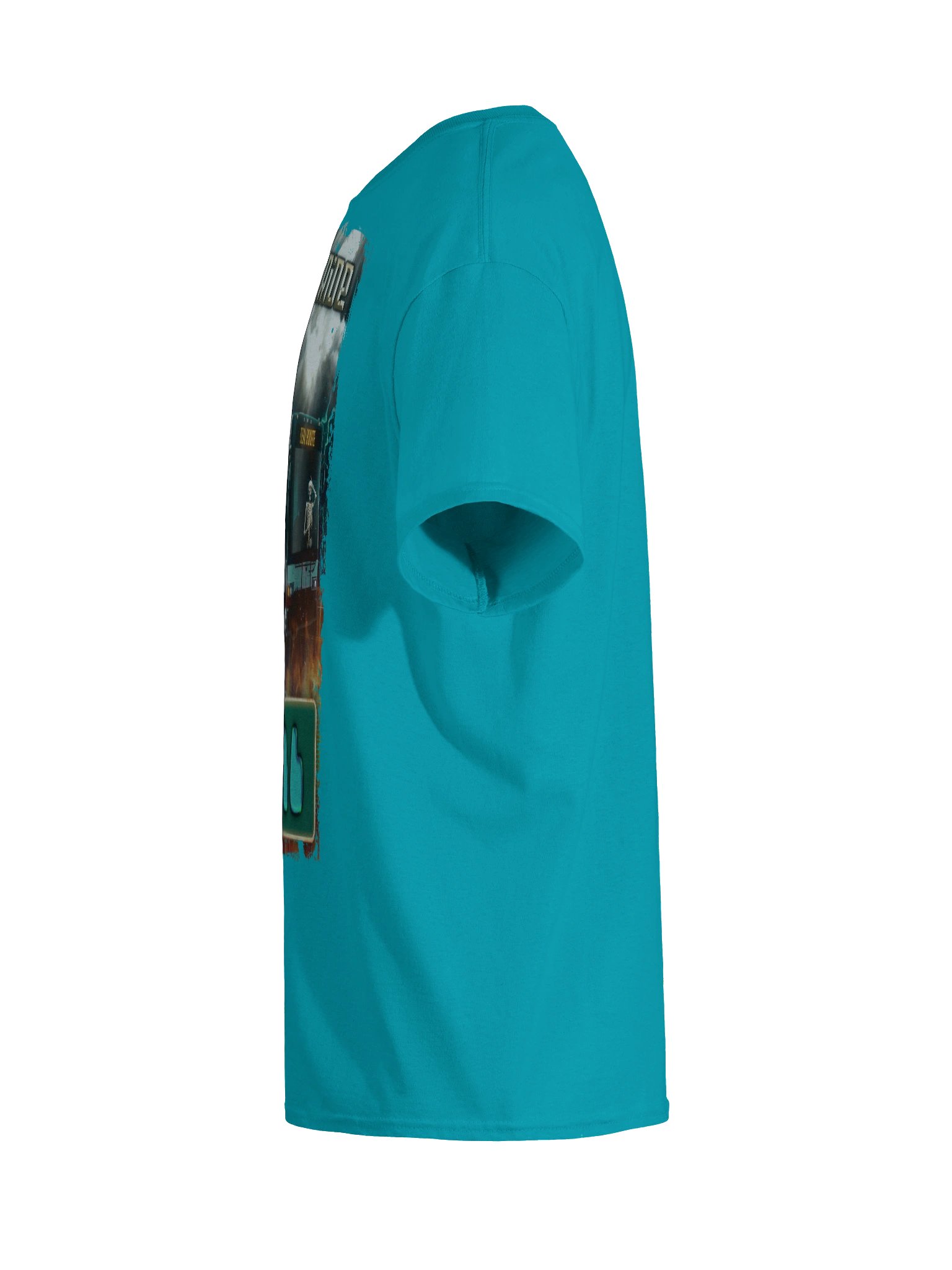 AppalShirt (Teal) product image (11)