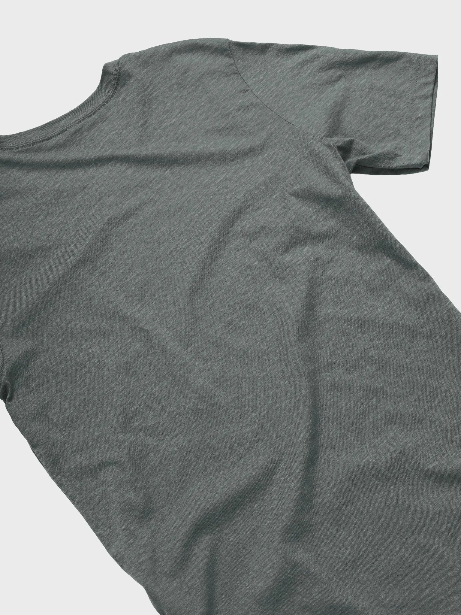 Echo Big Logo Tee product image (4)