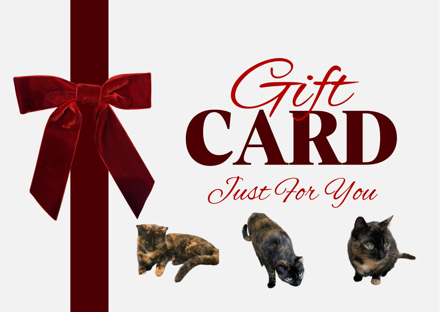 Cat Card 🎁 product image (1)