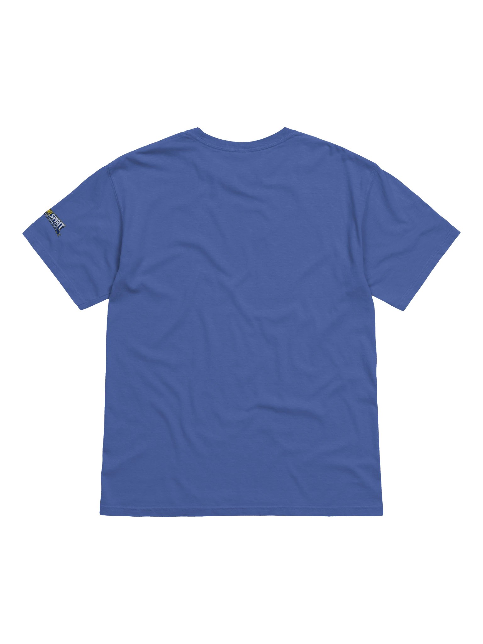 Fury Spirit Heavyweight Tee product image (2)