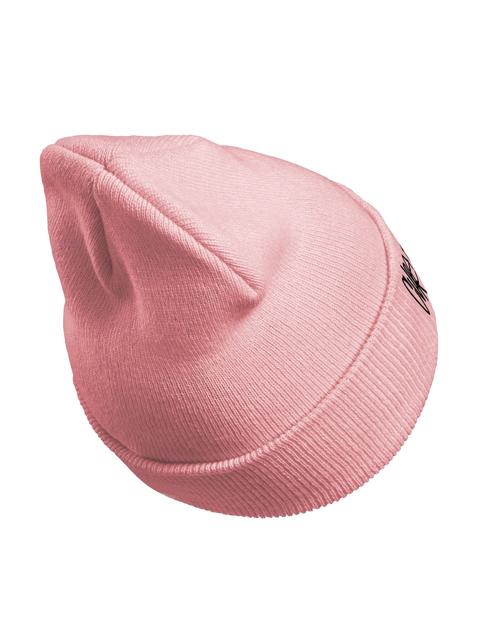 Logo Beanie 1 product image (20)