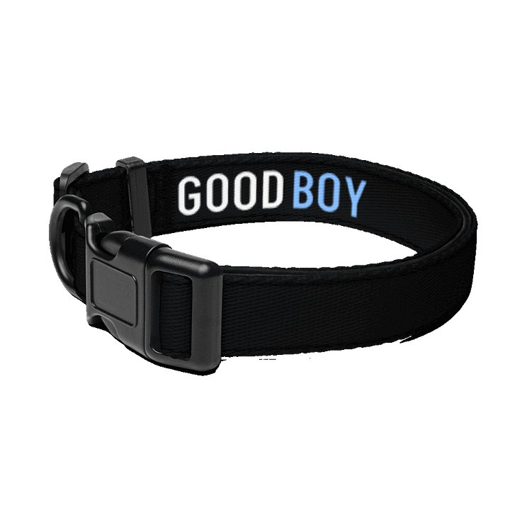 GOOD BOY Collar product image (1)