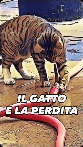 ASSERGIO - 