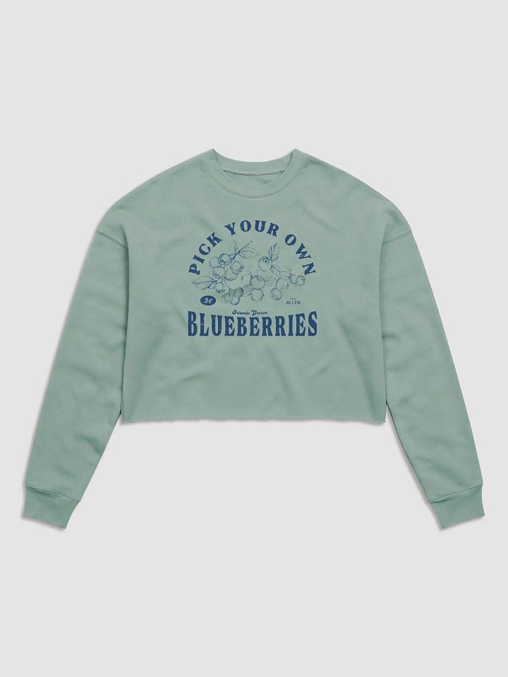 PYOB (Blue) Cropped Hoodie product image (1)