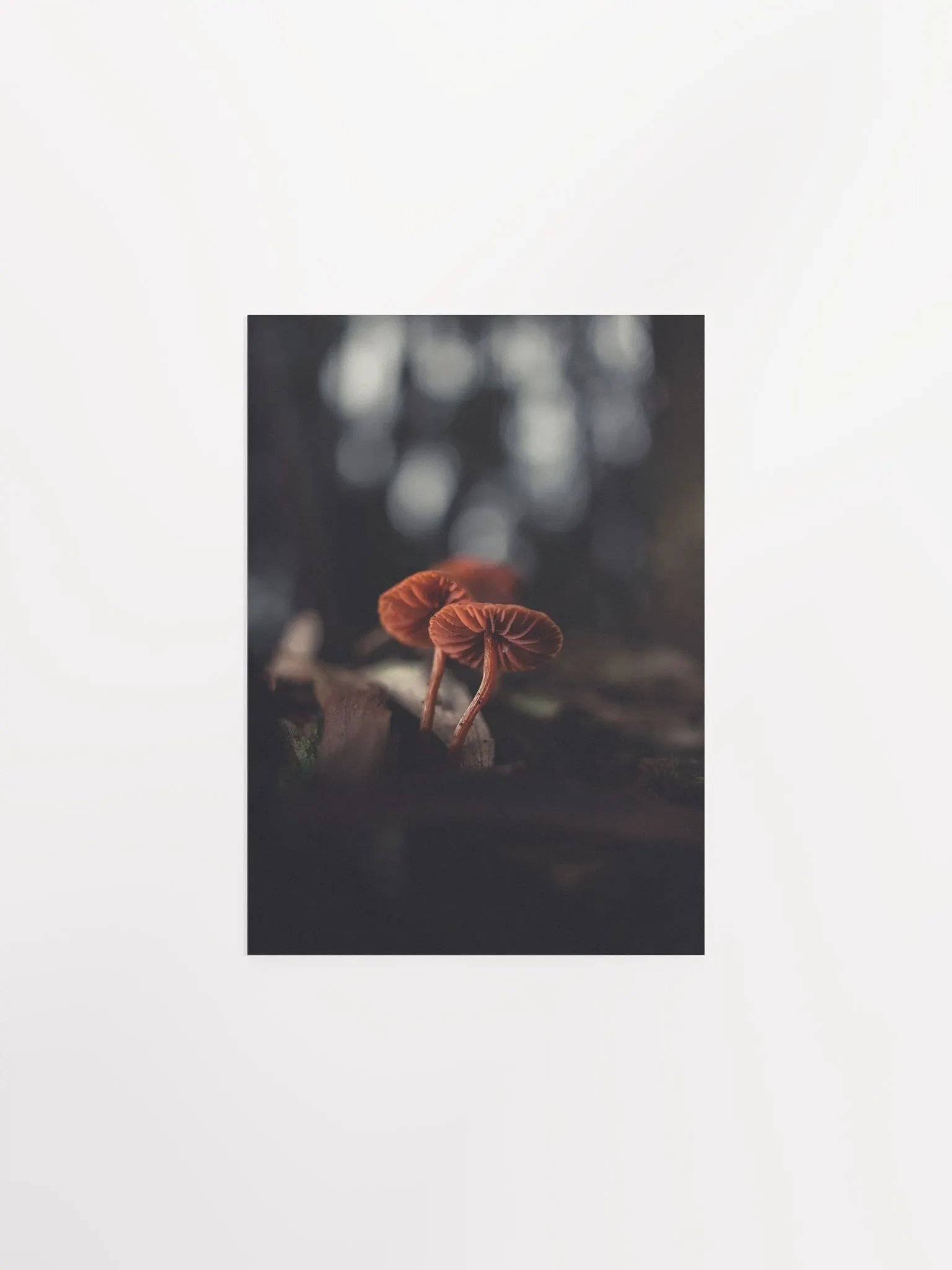Lost product image (4)