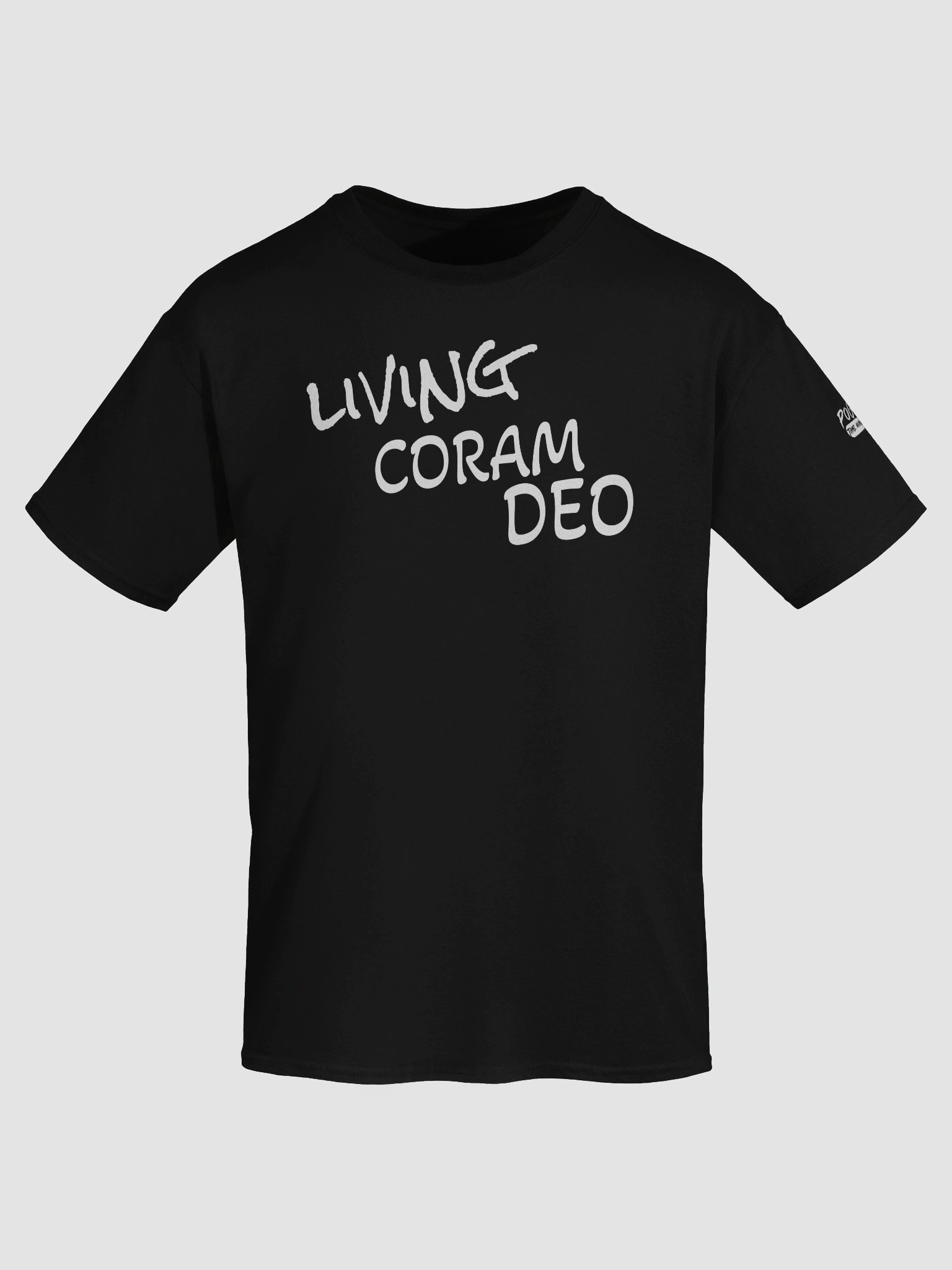 Living Coram Deo product image (56)