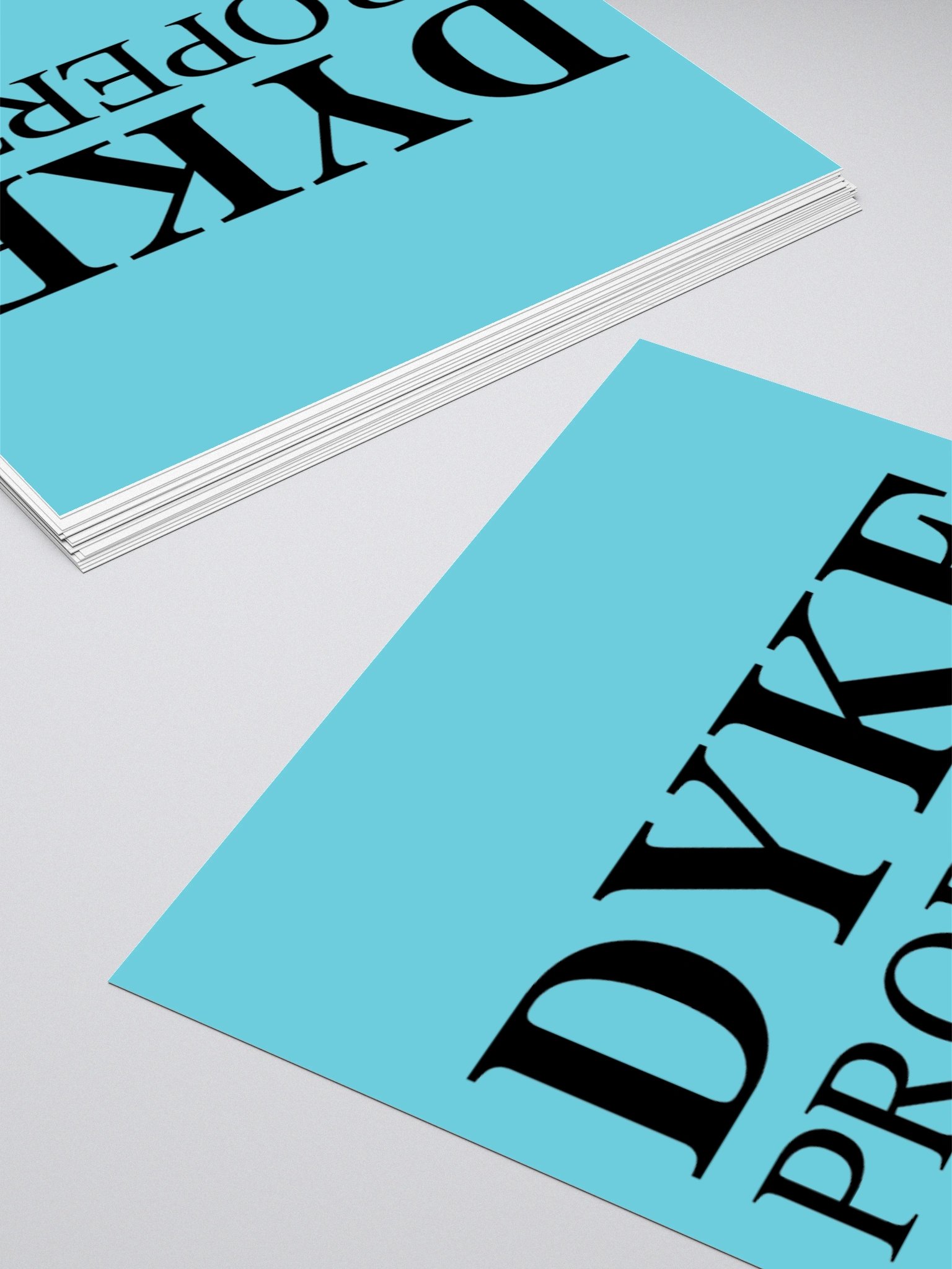DYKE PROPERTY STICKER product image (4)