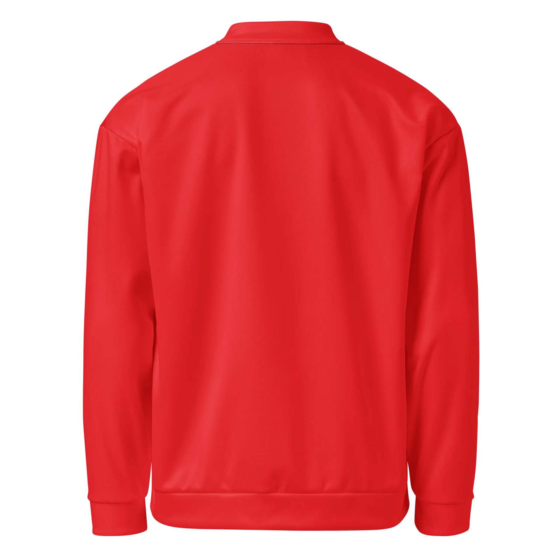 All-Over Print Bomber Jacket product image (2)