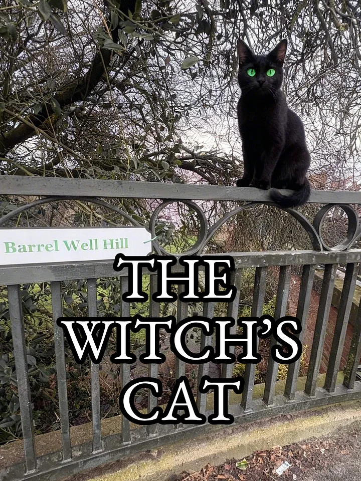 The Witch's Cat - MP3 Download product image (1)