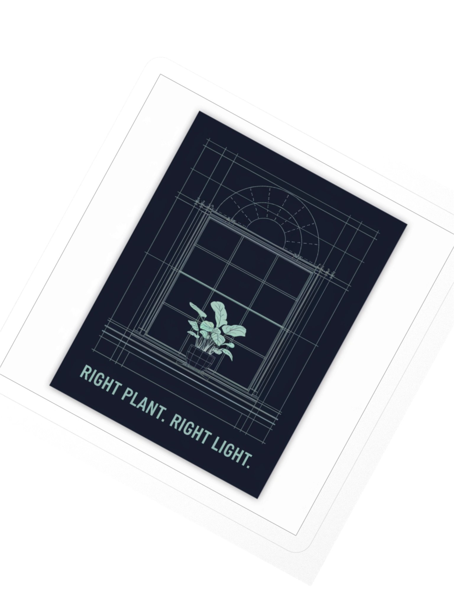 Right Plant. Right Light. — Sticker product image (2)